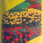 Plantejord 40l